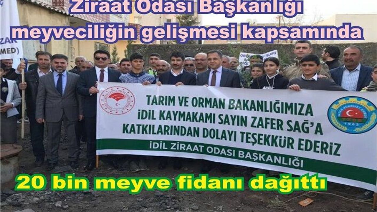 Meyveciliğin geliştirmesi projesi kapsamında 22 bin meyve fidanı dağıtıldı