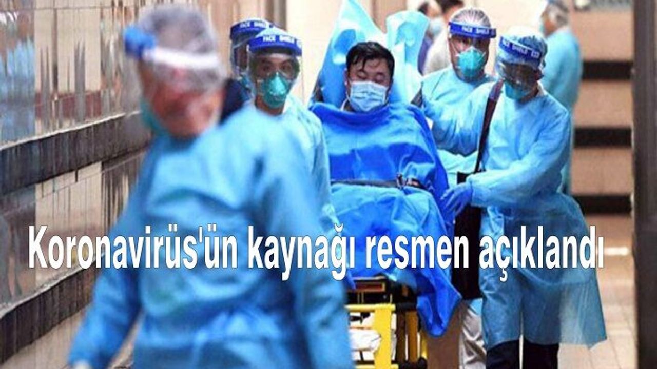 Koronavirüs'ün kaynağı resmen açıklandı