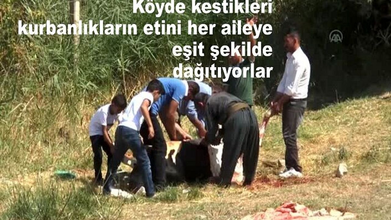 Köyde kestikleri kurbanlıkların etini her aileye eşit şekilde dağıtıyorlar