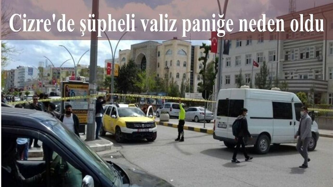 Cizre'de şüpheli valiz paniğe neden oldu