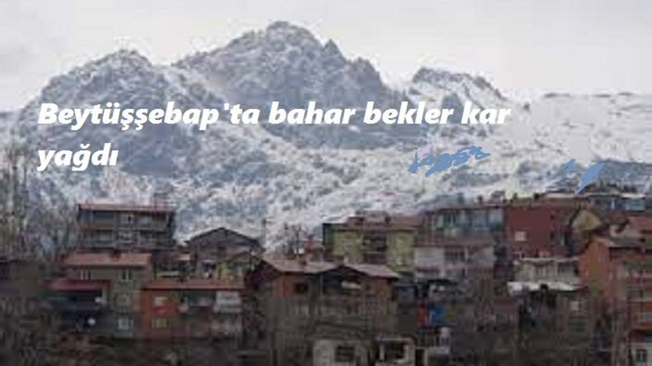 Beytüşebap'ta bahar beklerken kar geldi