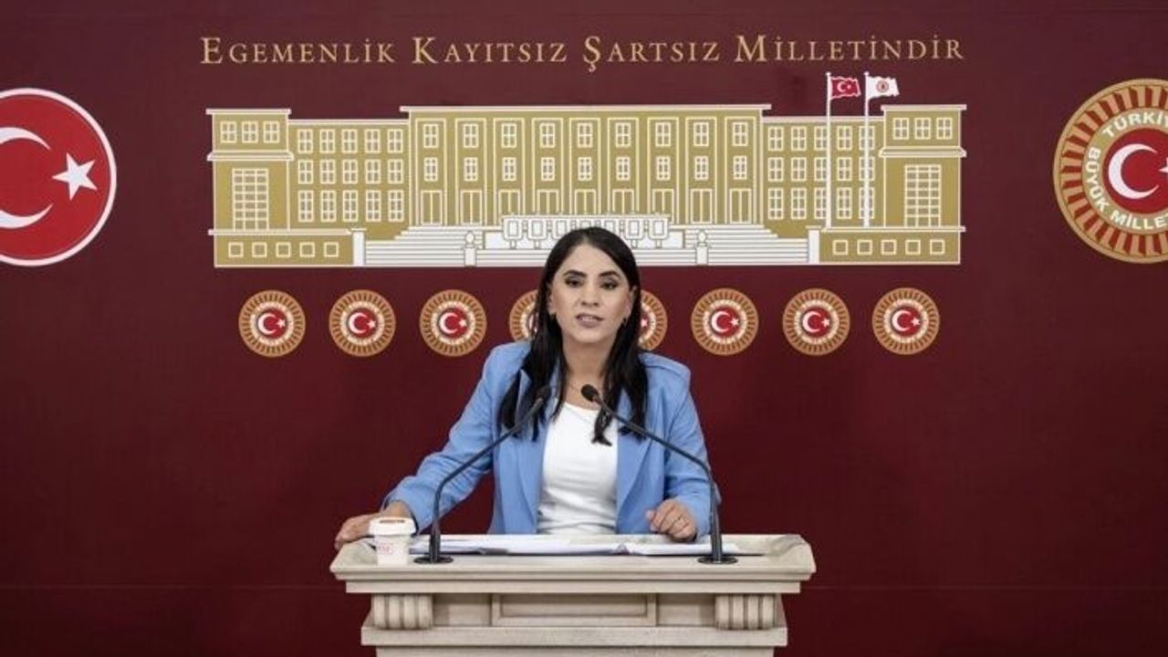 İdil'in su sorunu çözülmesini talep etti