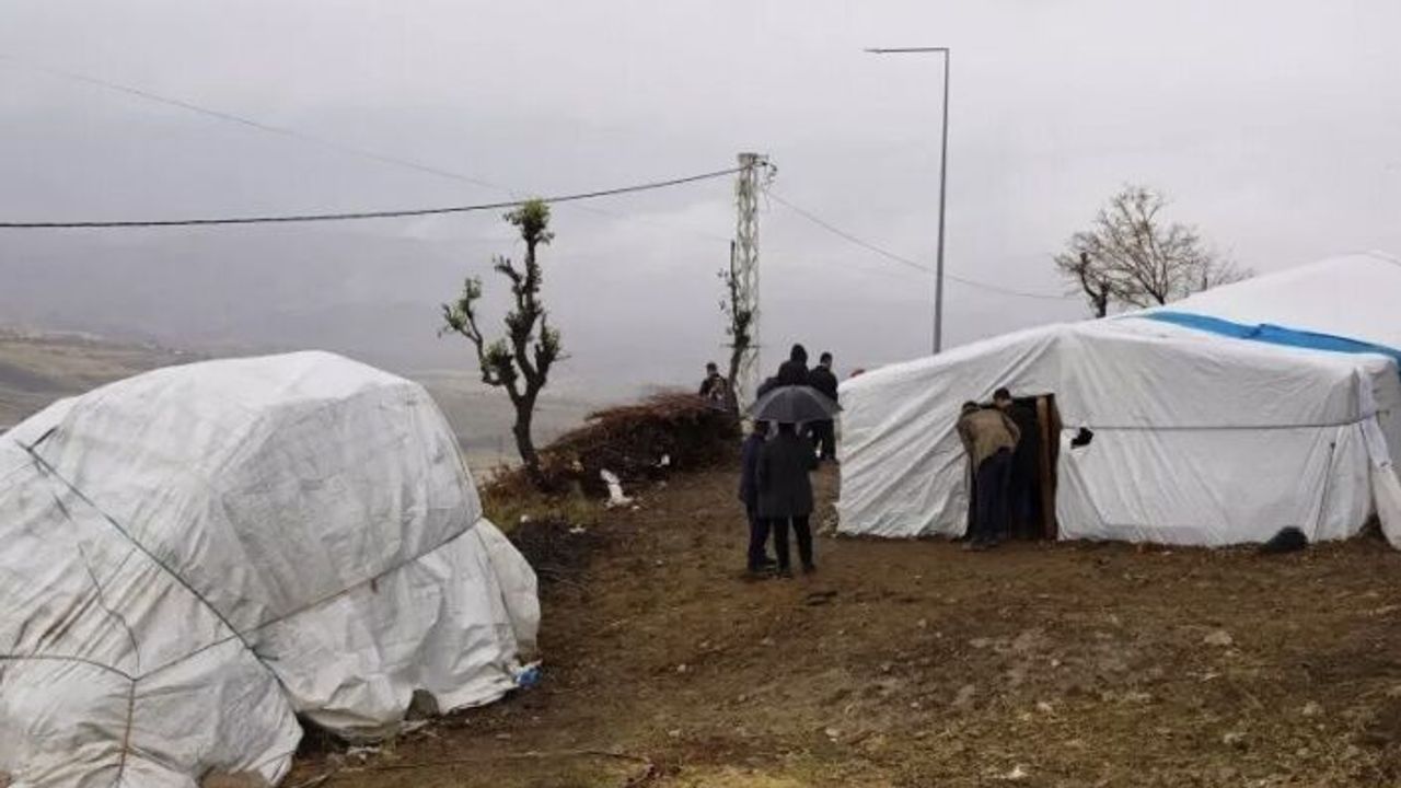 Köpek Saldırısı 28 Koyun telef oldu