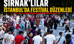 İstanbul’da Şırnak Festivali düzenlendi