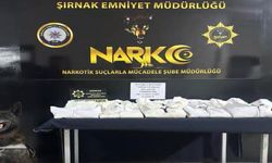 7 Kilo 115 Gram Metamfetamin Ele Geçirildi