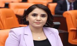 Nevroz Uysal Aslan, Beytüşşebap'taki Sağlık Sorunlarını TBMM Gündemine Taşıdı