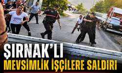 Cizre, Silopi’de giden mevsimlik işçilere saldırı