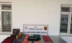 Şırnak’ta 127 Adrese kaçakçılık operasyonu