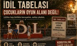 İdil Tabelası Çocukların Oyun Alanına Dönüştü