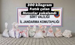 300 Kilogram Fıstık çalan hırsızlar yakalandı