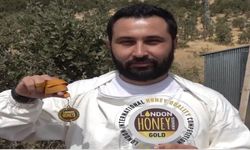 Şırnak Balı 2 Ülke’den ödül aldı