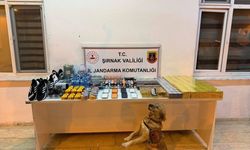 Şırnak'ta kaçakçılık operasyonlarında yakalanan 29 şüpheliden 1'i tutuklandı