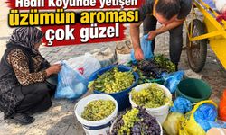 İdil'in saklı lezzeti: Hedil Üzümü