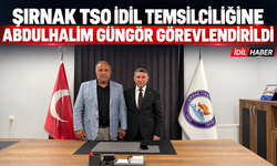 İdil temsilciliği atandı