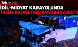 Trafik kazası 1 kişi hayatını kaybetti