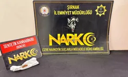 Şırnak'ta bir haftalık operasyon bilançosunda 17 şüpheli cezaevine gönderildi