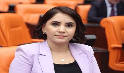 Nevroz Uysal Aslan, Beytüşşebap'taki Sağlık Sorunlarını TBMM Gündemine Taşıdı