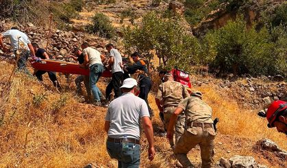 Güçlükonak'ta Ağaçtan düşen vatandaş yaralandı