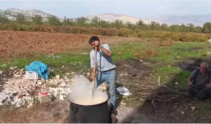Çermik'te bağ bozumu başladı, üreticiler geleneksel pestil yapımına geçti