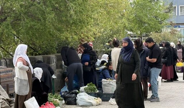 Köylü pazarında organik ürünler zamanı