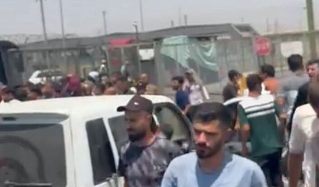 Karınca Ticareti sıcakta daha da zor oluyor