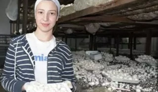 Mantar üretimi artıyor
