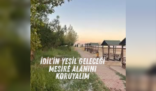İdil’in doğal miras alanı: Mesire alanına sahip çıkalım