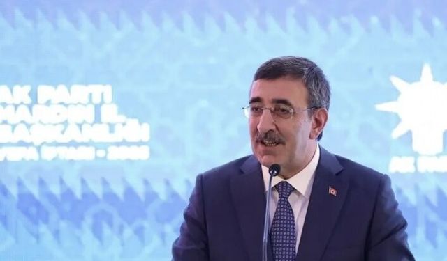 Cumhurbaşkan Yardımcısı Yılmaz Mardin’de