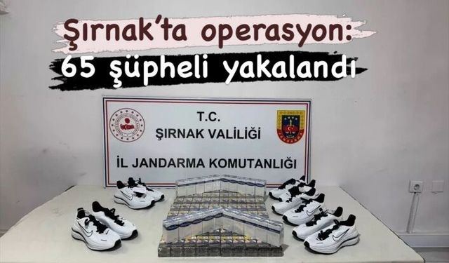 Şırnak’ta operasyon 65 kişi yakalndı