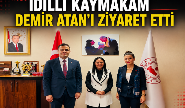 İdilli Kaymakam Demir’den ziyaret