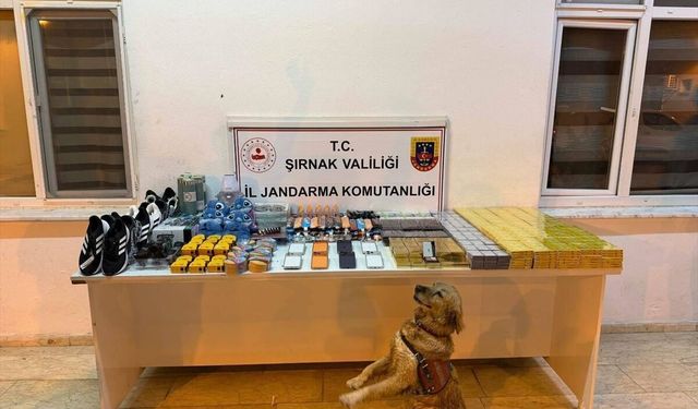 Şırnak'ta kaçakçılık operasyonlarında yakalanan 29 şüpheliden 1'i tutuklandı