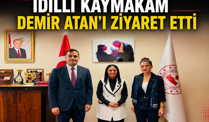 İdilli Kaymakam Demir’den ziyaret