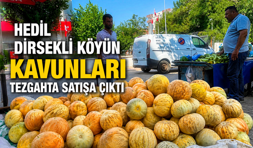 Hedil Kavunları tezgahlarda satışta