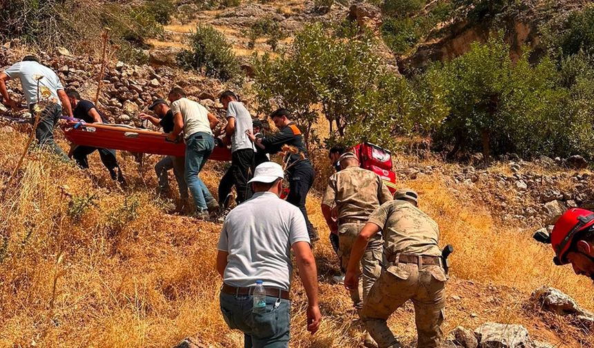 Güçlükonak'ta Ağaçtan düşen vatandaş yaralandı