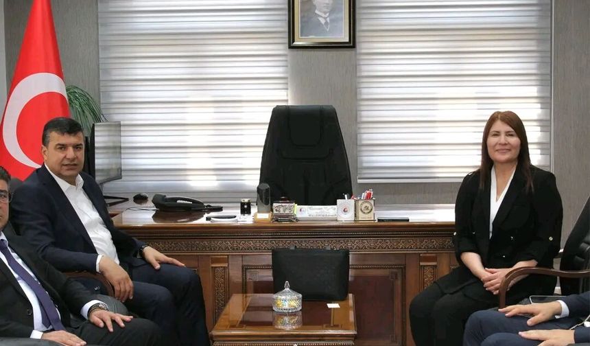 Şırnak'ın iki ilçesinde Halk Bankası Şubesi açılacak