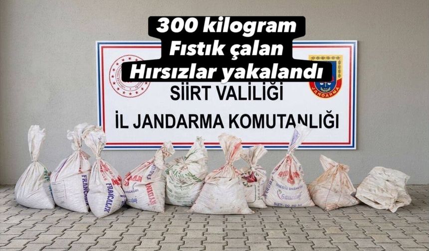 300 Kilogram Fıstık çalan hırsızlar yakalandı
