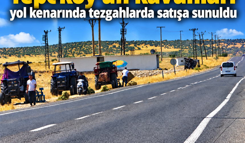 Tepeköy’ün kavunları yol kenarında satışa sunuldu