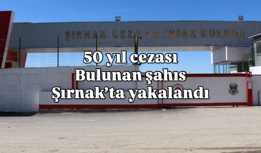 50 yıl cezası bulunan Şahıs Şırnak’ta yakalandı