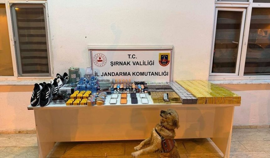 Şırnak'ta kaçakçılık operasyonlarında yakalanan 29 şüpheliden 1'i tutuklandı