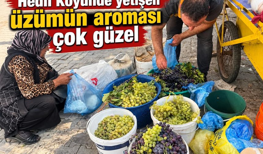 İdil'in saklı lezzeti: Hedil Üzümü