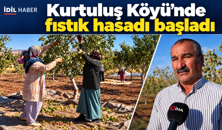 Nuri Genç: İdil’in toprakları fıstık yetiştiriciliğine çok uygun