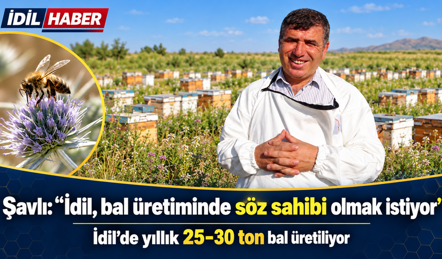 Şavlı “ Bal üretiminde söz sahibi olmak istiyor”