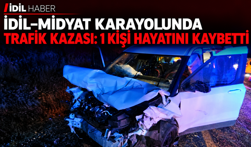 Trafik kazası 1 kişi hayatını kaybetti